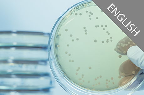 EN 17141 &ndash; European Standard on Biocontamination Control